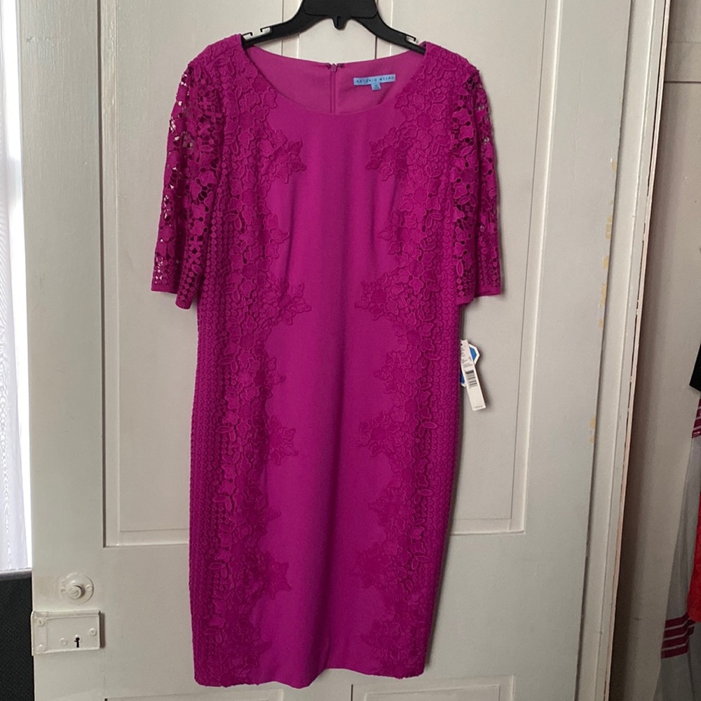 New Antonio Melani dress size 12 .. never worn paid $179 .Beautiful lace detail